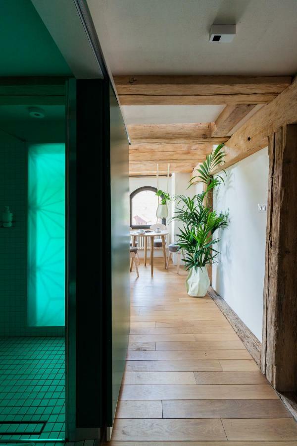 Apartamenty Monka Stary Toruń エクステリア 写真