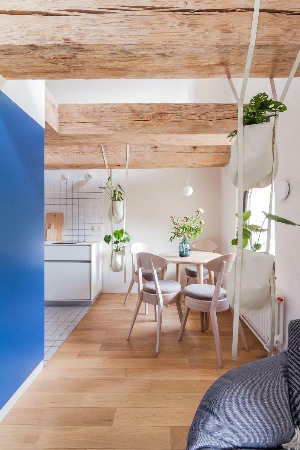 Apartamenty Monka Stary Toruń エクステリア 写真